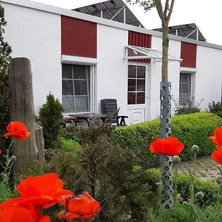 Apartamento Zwischen Und Bodden App 04 Ahrenshoop